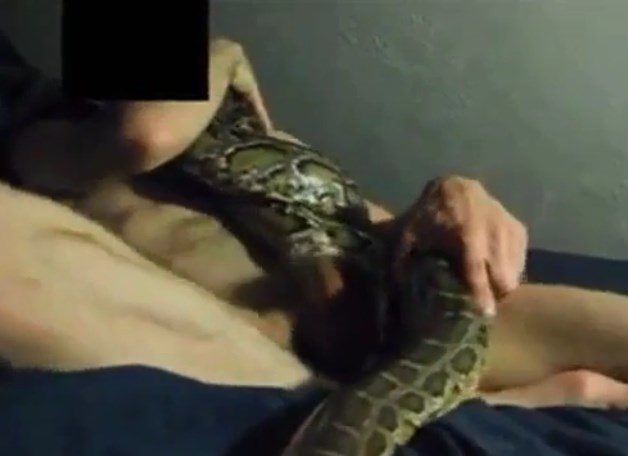 Woman Fucked By Snake porn wanted