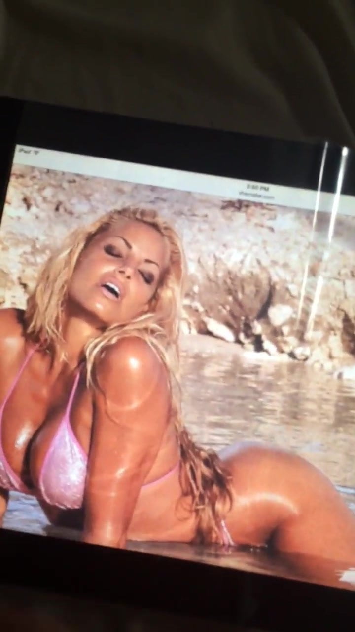 cindy hillstrom recommends trish stratus topless pic