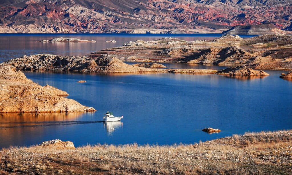 curtis wiese recommends lake mead nude beach pic