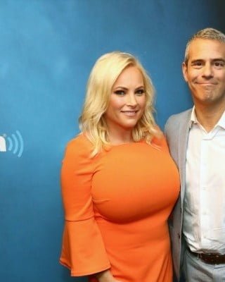 ashley dehaan recommends meghan mccain huge boobs pic