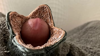 brandon wertman add photo alien egg porn