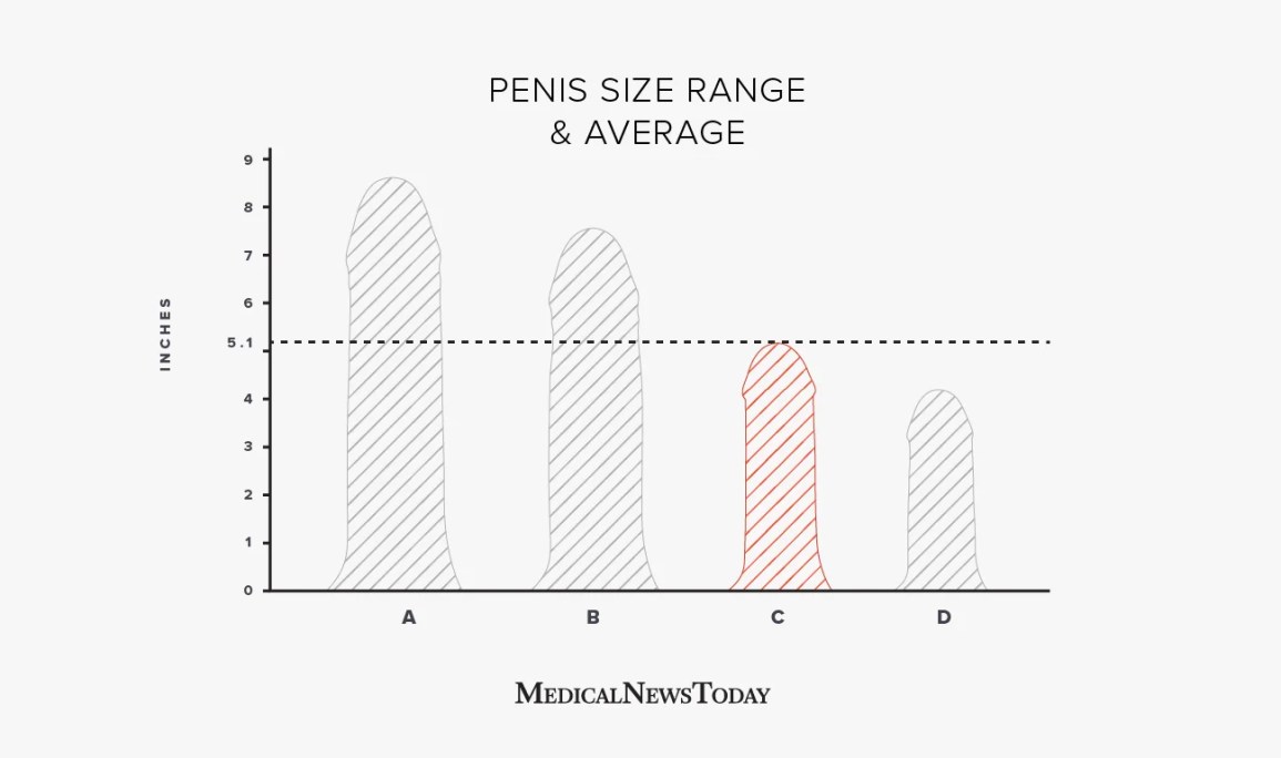 Best of Average size penis photos