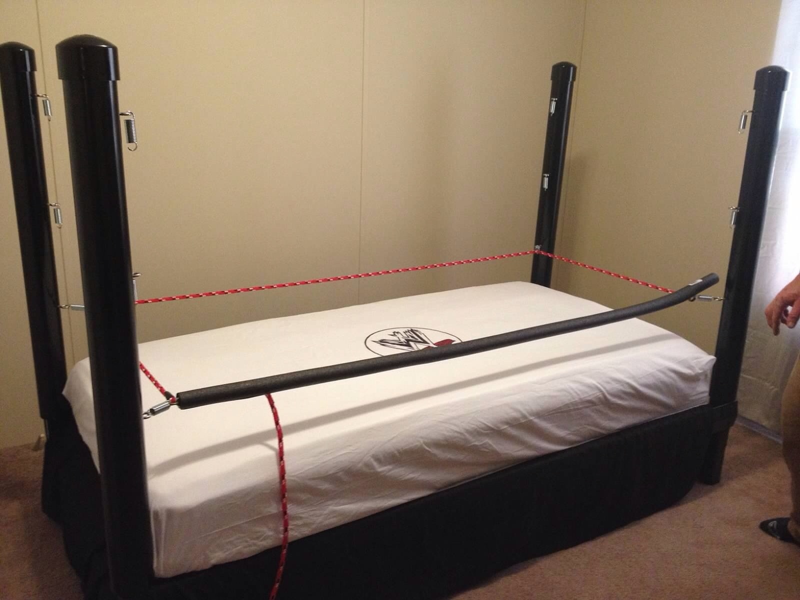 adrian hamilton recommends Wwe Wrestling Ring Beds