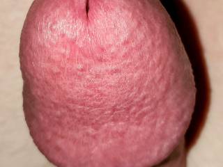 ahmad cobra recommends big white dick close up pic