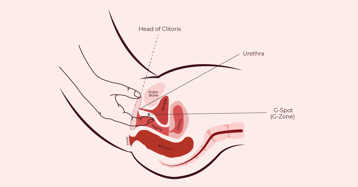 Best of How to eat out vagina