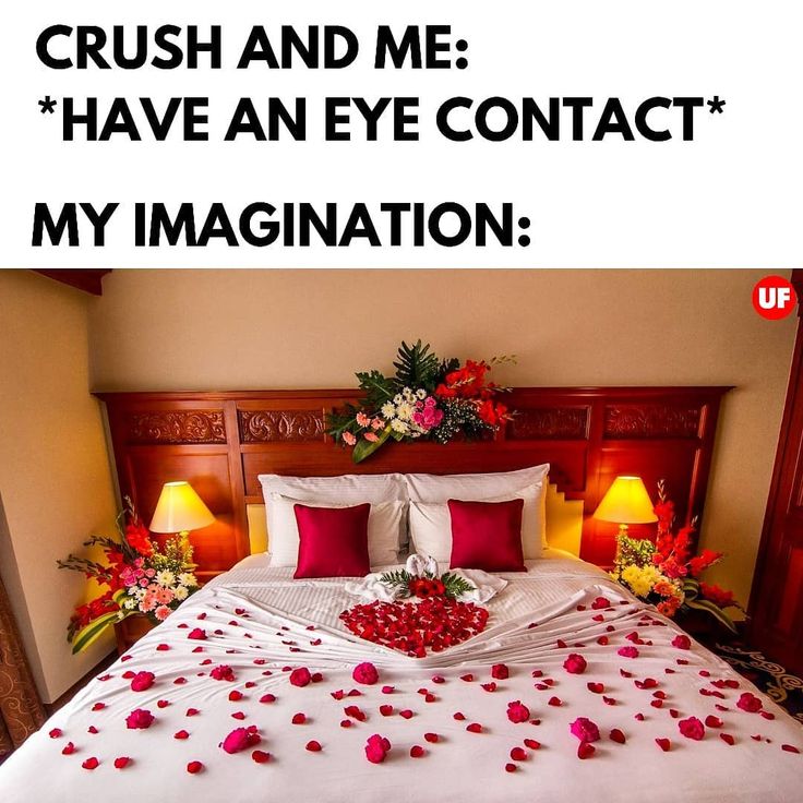 charlie stine add rose petals on bed meme photo