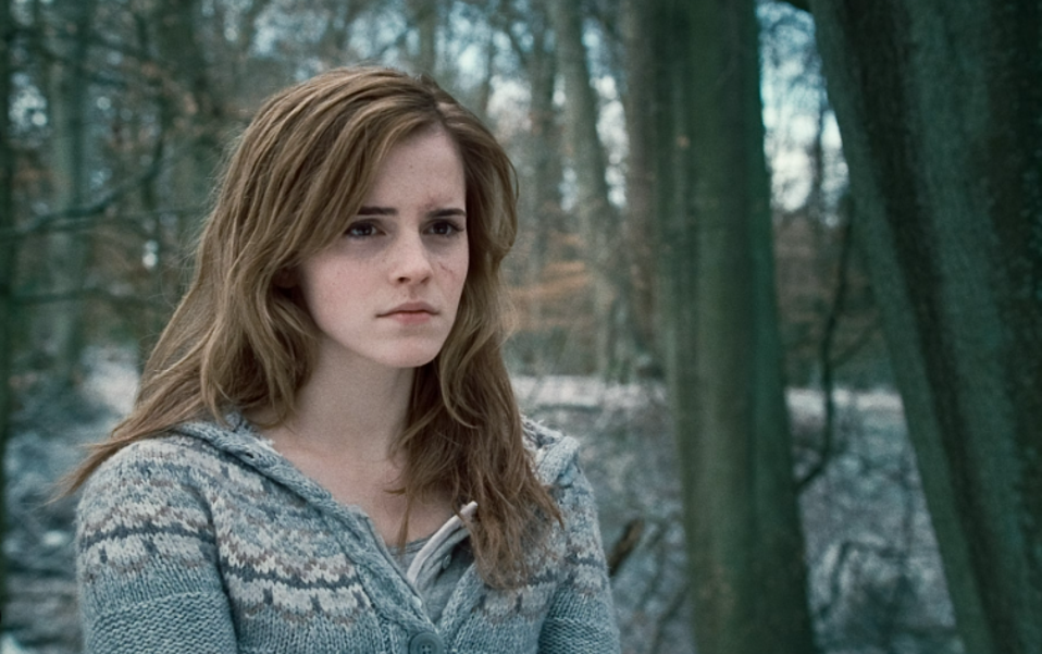 christine devenny recommends images of hermione in harry potter pic