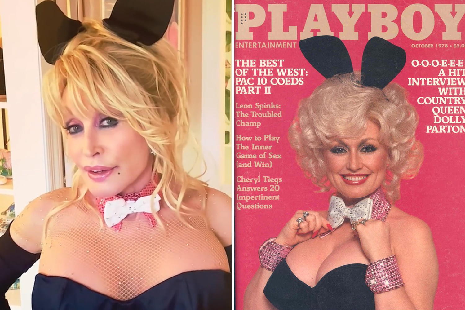 dawn goldsberry recommends Dolly Parton Nipple Slip