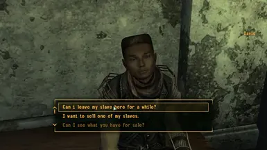 becky ziemer recommends fallout 3 slave mod pic