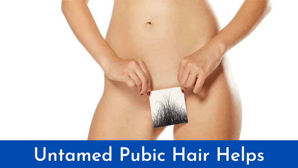 Pubic Hair Pics homo porn