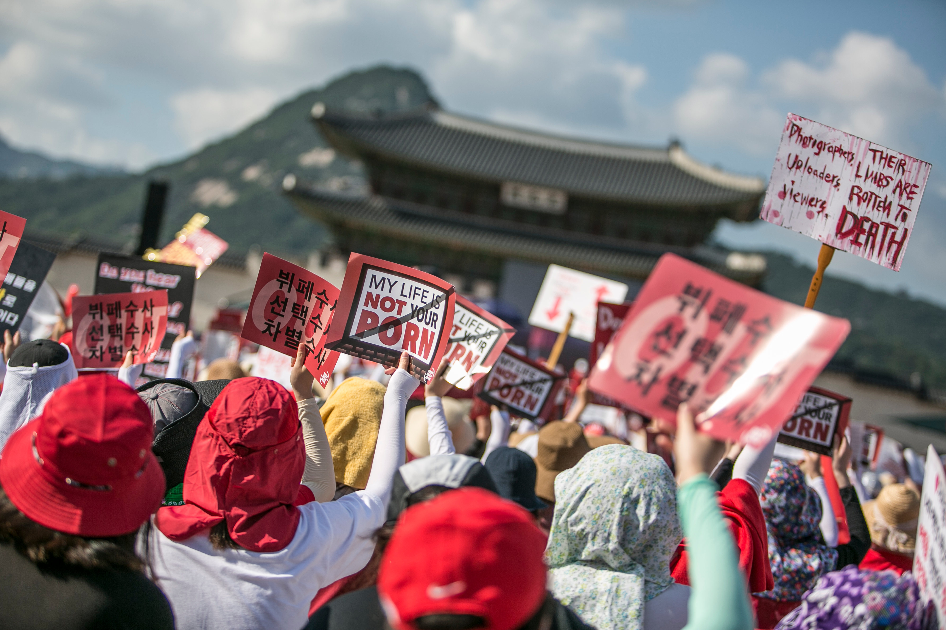 South Korea Porn Ban dating wep