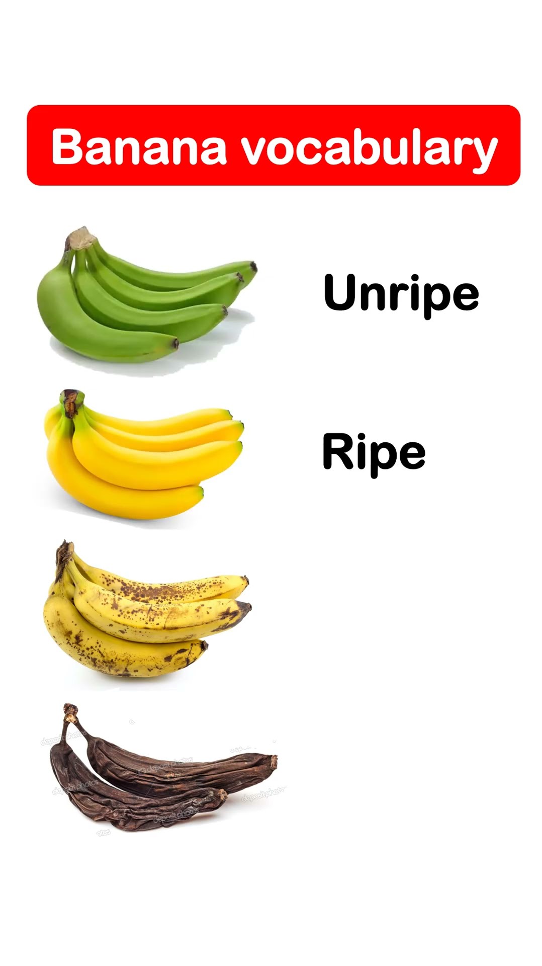 the banana guide