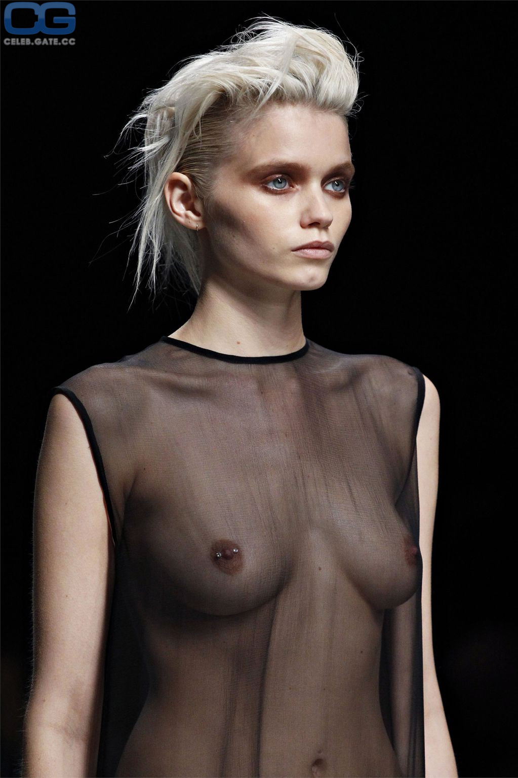 donny vo recommends Abbey Lee Kershaw Nude