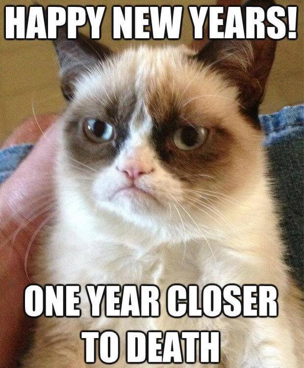 becky armstrong recommends funny happy new year 2017 memes pic