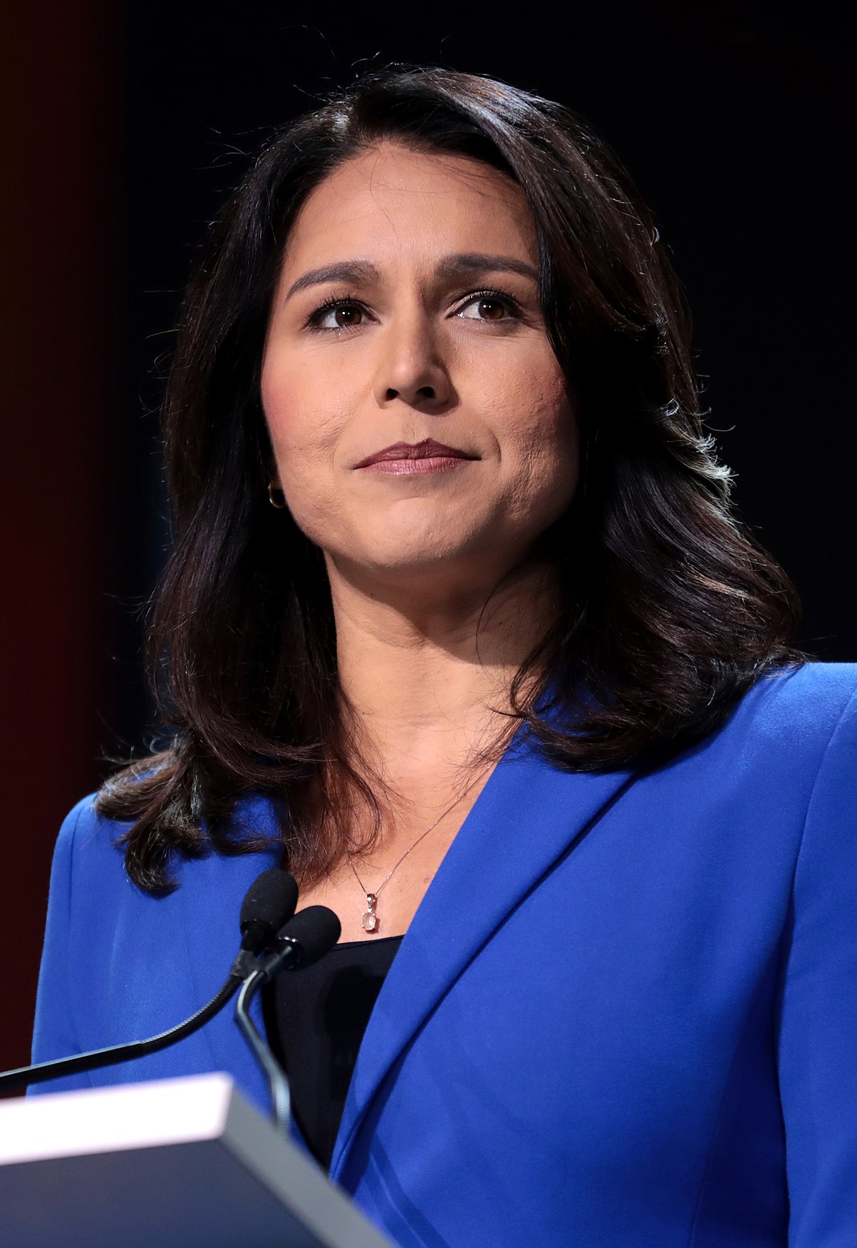 tulsi gabbard porn