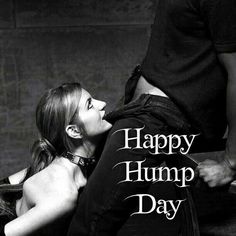 Happy Hump Day Sex lexi cruz