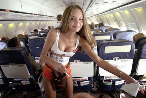 danny hosford recommends sexy flight attendant pic