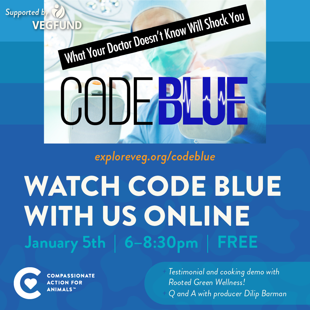 watch blue film online