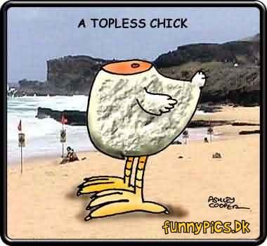 Best of Funny topless pics