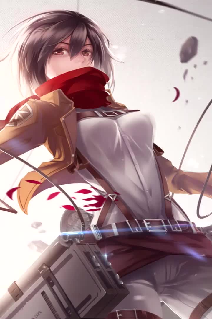 anne dawal recommends cute mikasa wallpaper pic