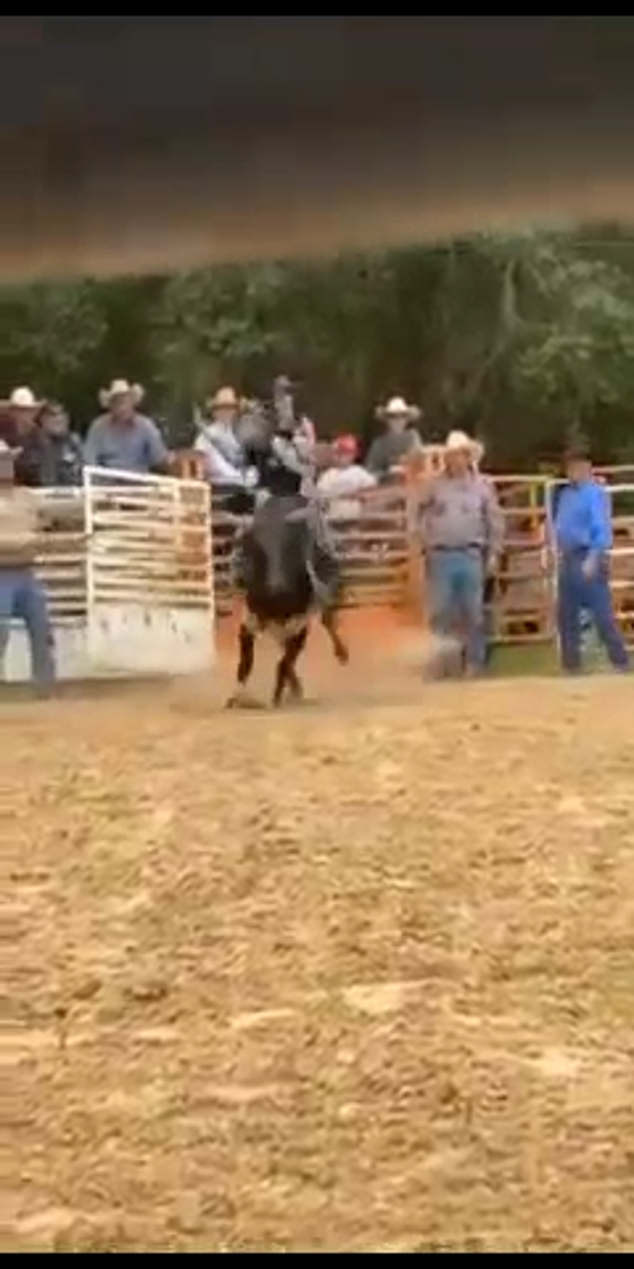 debra weis recommends bull riding gif funny pic