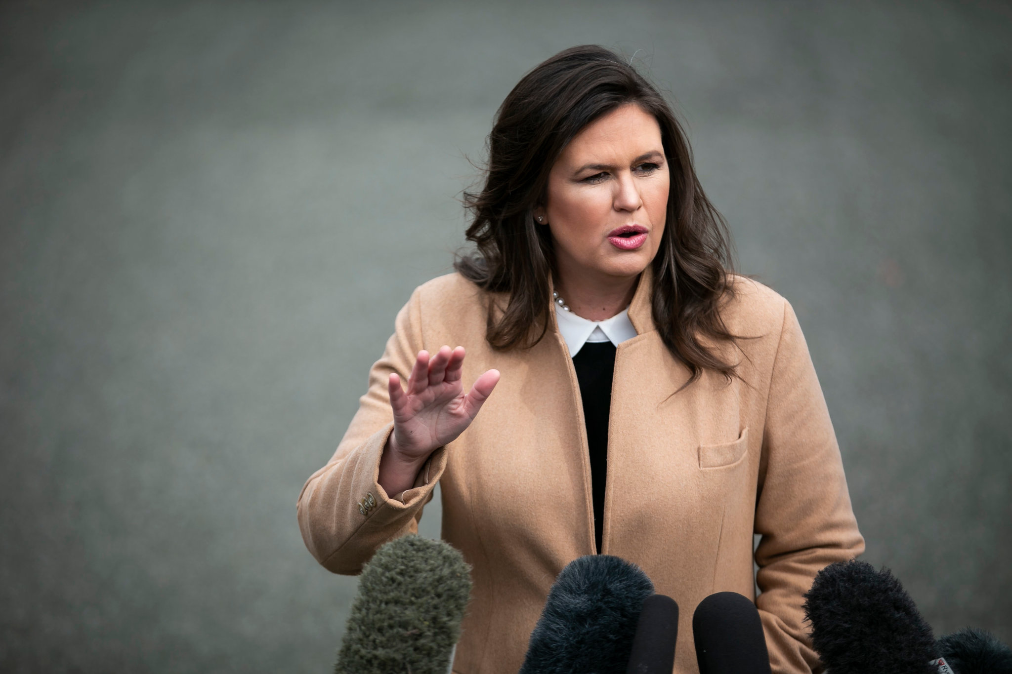 amelie senechal recommends sarah huckabee sanders boobs pic