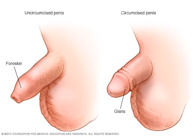 Best of Uncircumcised penis pics