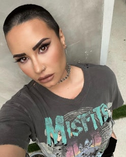 buck nash add photo demi lovato nipple