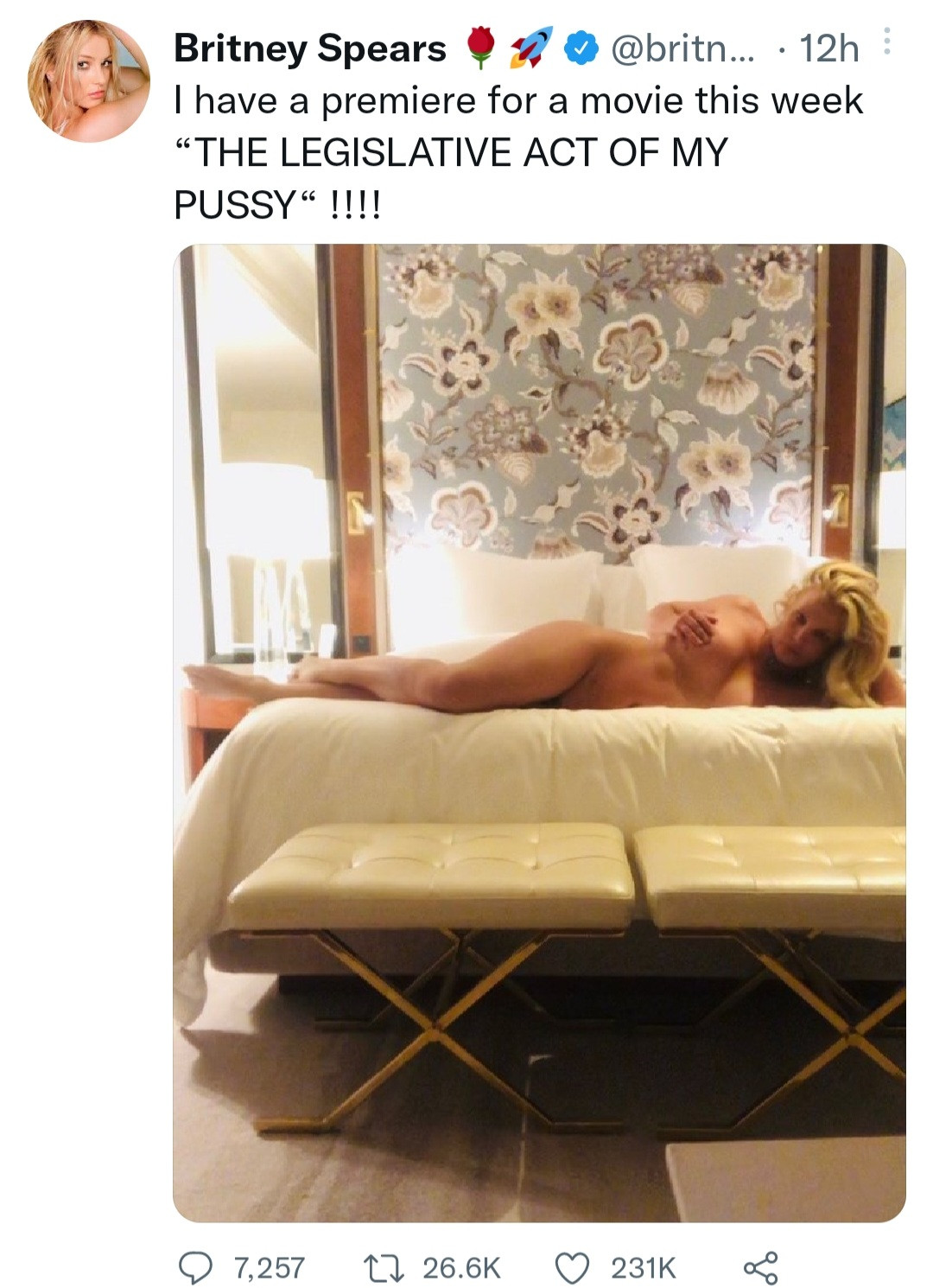 Britney Spears Porn Movie browning naked