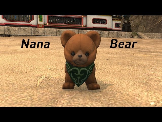 brock merriman recommends nana bear patreon pic