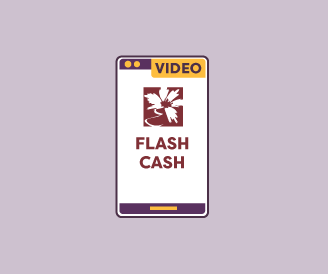 dan baciu recommends Flash For Cash Videos