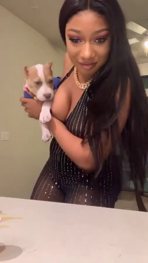 alana mcginnis add photo megan thee stallion nipslip