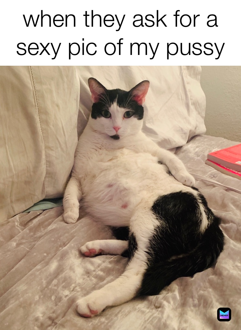 danional lai recommends Fuck My Pussy Meme