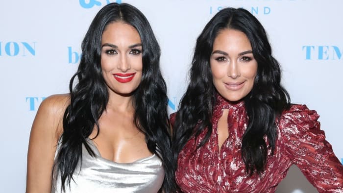 Best of Brie and nikki bella nude