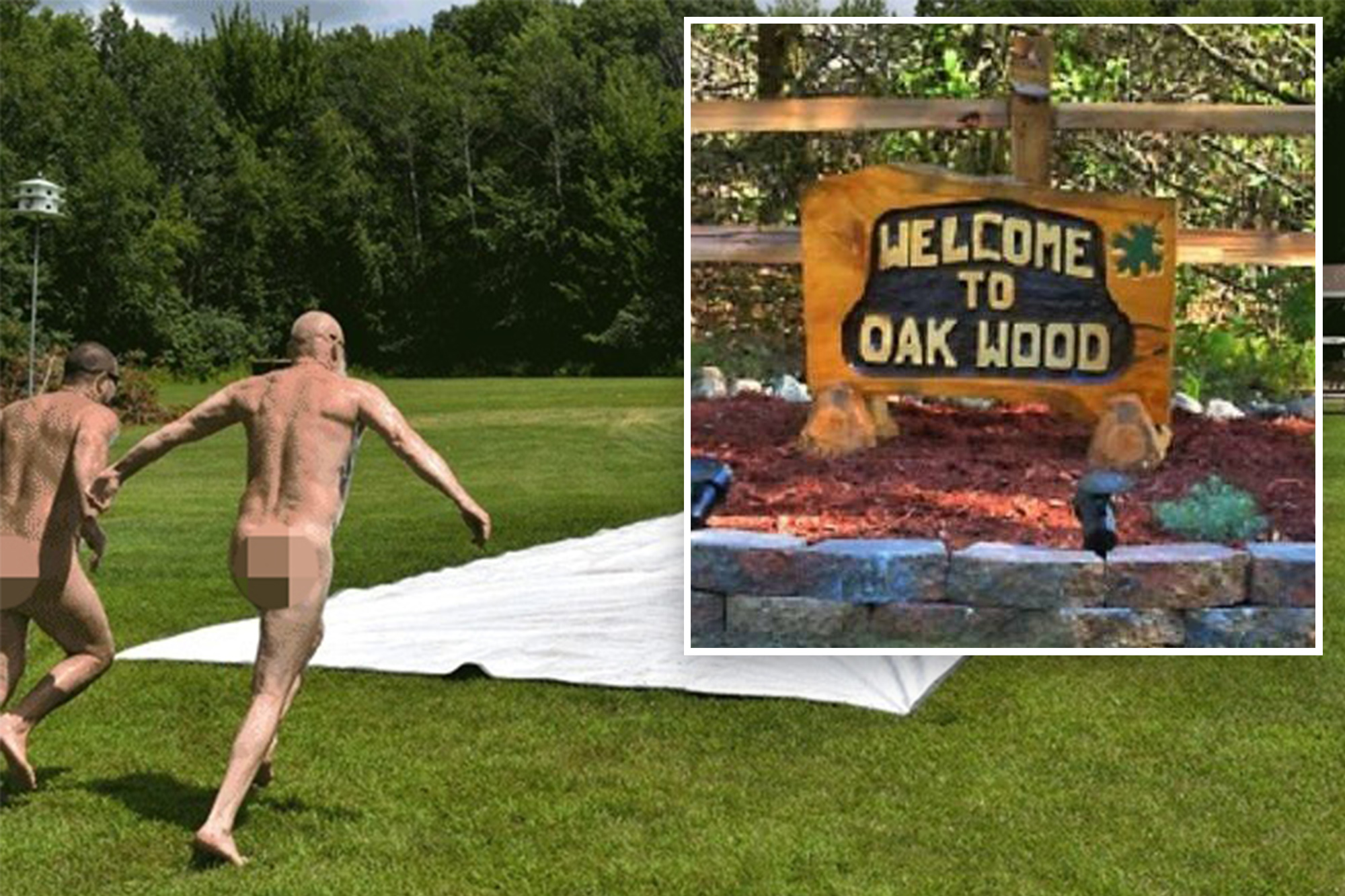 Pictures From Nudist Camps sex level