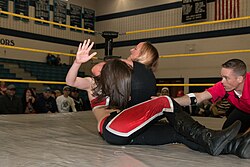 brad macculloch recommends Mixed Wrestling Sleeper Holds