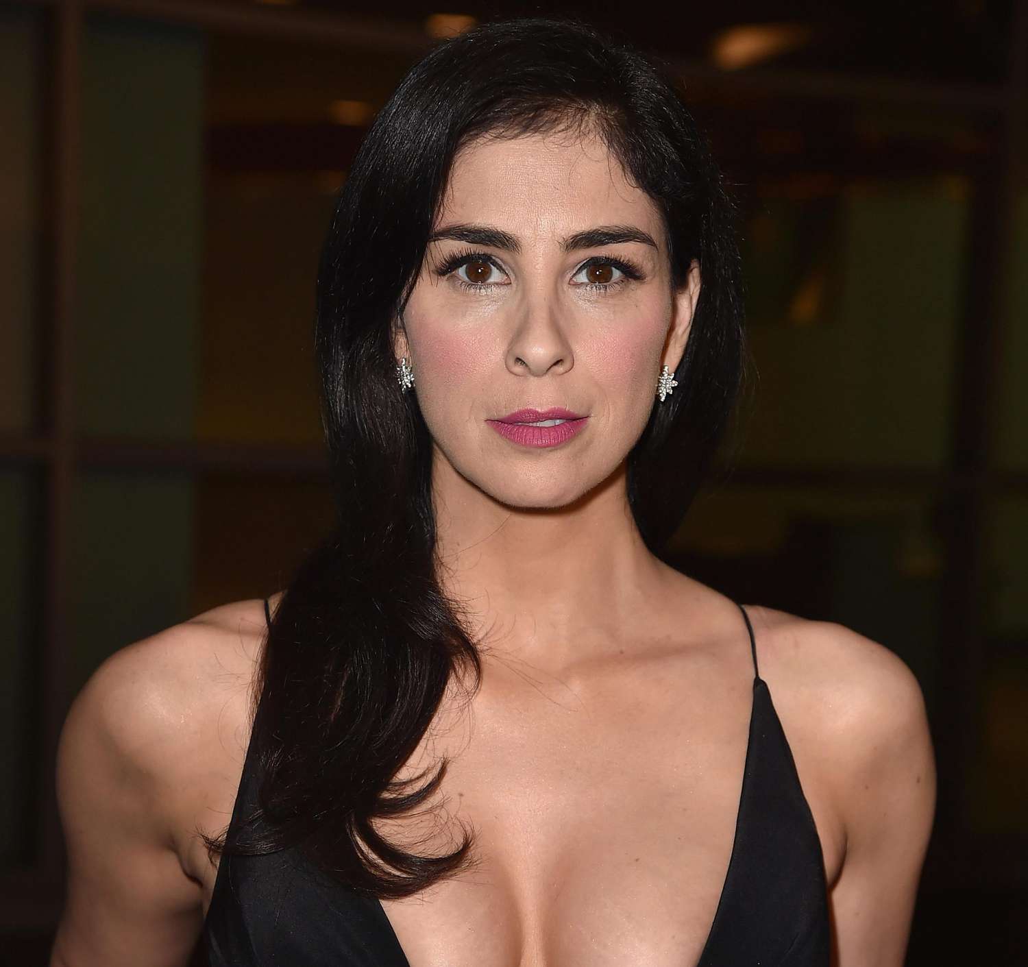 cat beaumont add sarah silverman tits photo