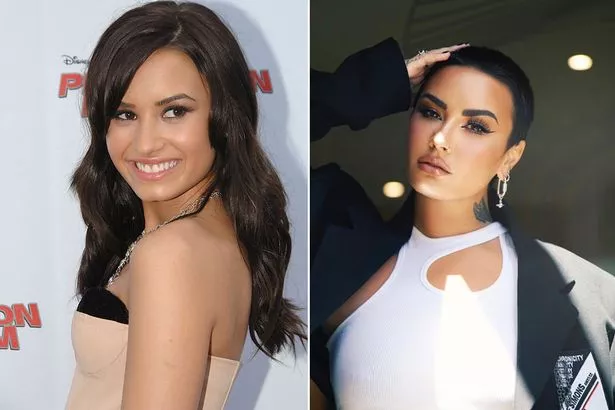 brent kawakami recommends demi lovato porn look alike pic