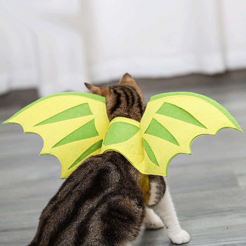 daniel tjia add photo dragon costume for cat