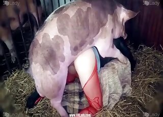 amarachi godwin add photo man fucking a pig