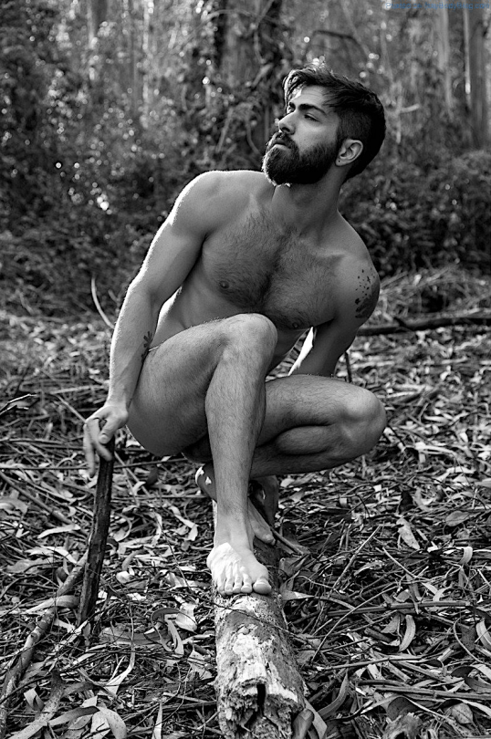 alexander kerr add nude men in the forest photo