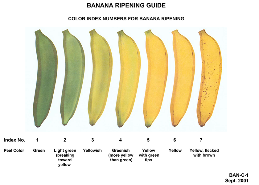 The Banana Guide mcmurray escort