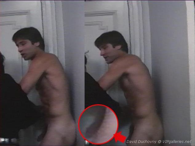 bryan mangsat share david duchovny nude photos