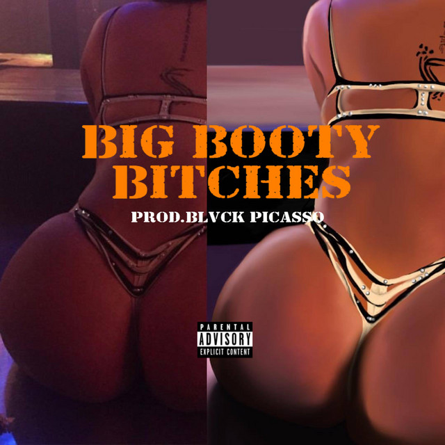 dennis hardy recommends Big Booty Black Bitches