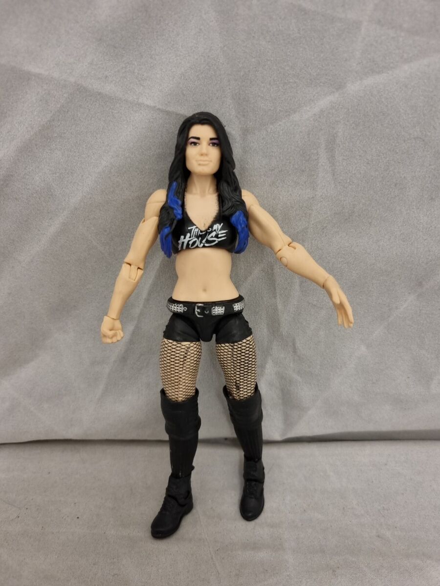 dm ruiz recommends wwe diva paige pics pic