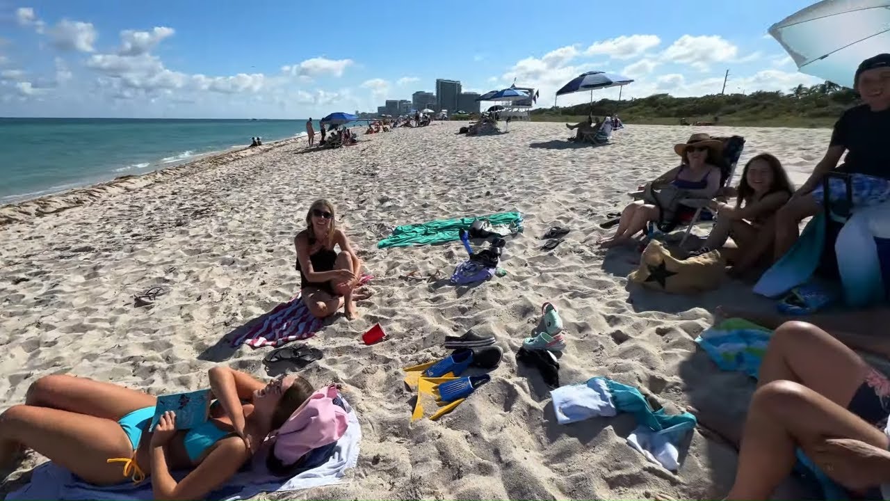 david r payne recommends haulover beach pictures pic