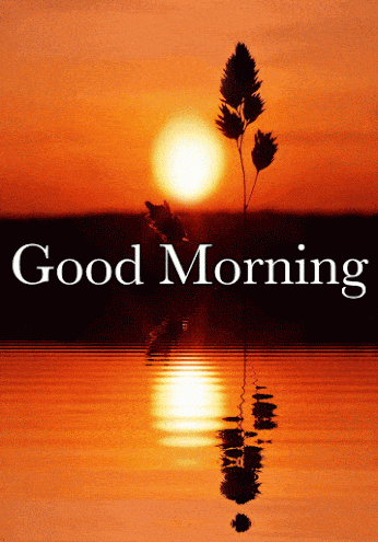 aqel recommends Good Morning Sunrise Gif