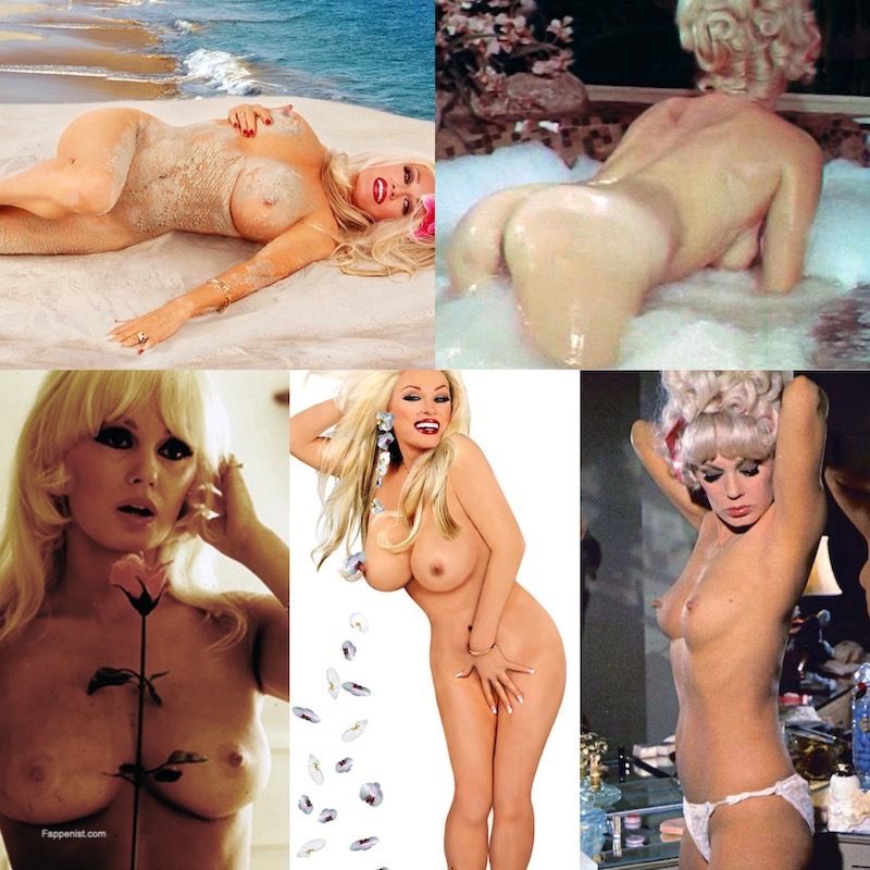 anil mansinghani recommends mamie van doren nude photos pic