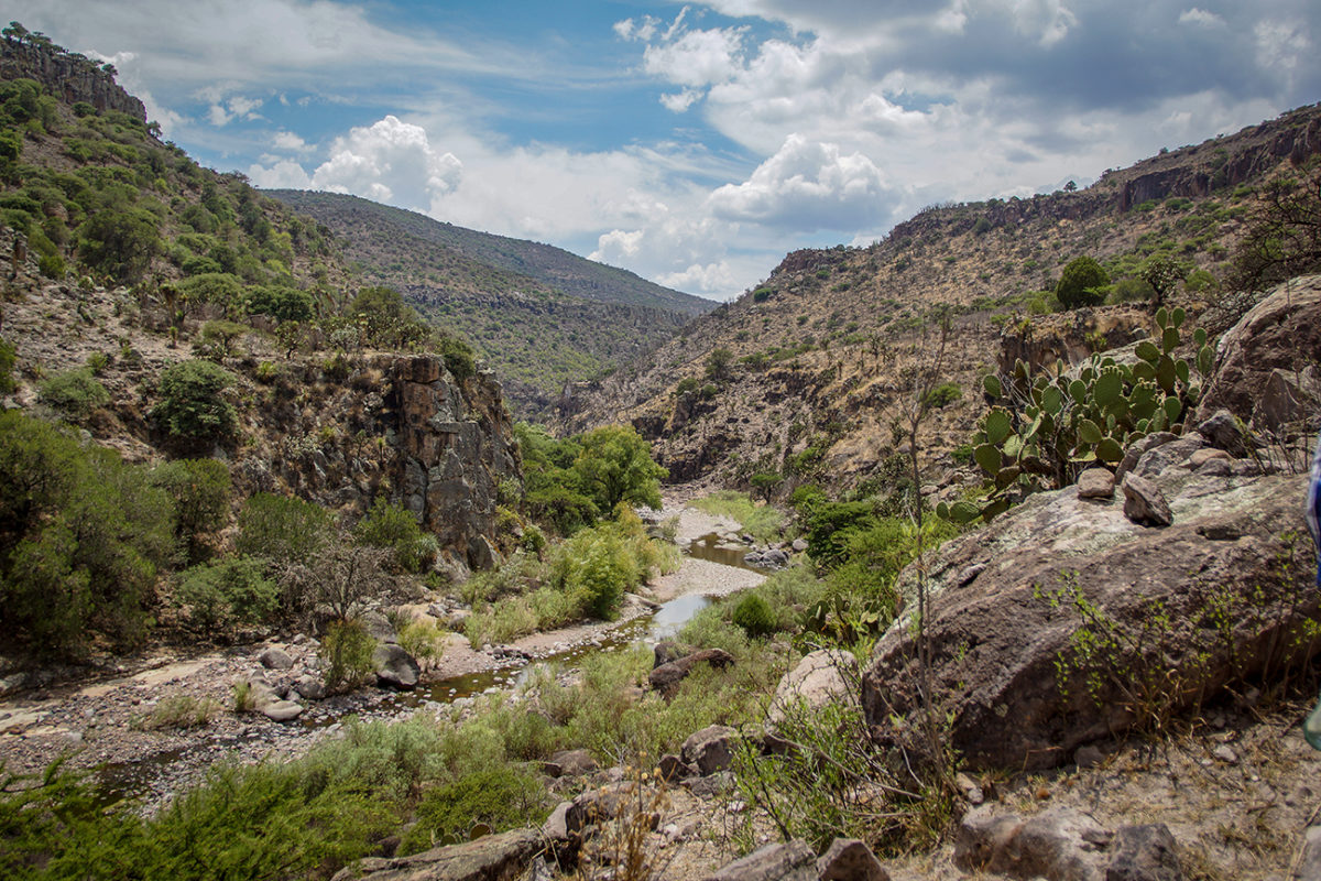 jimenez del teul zacatecas