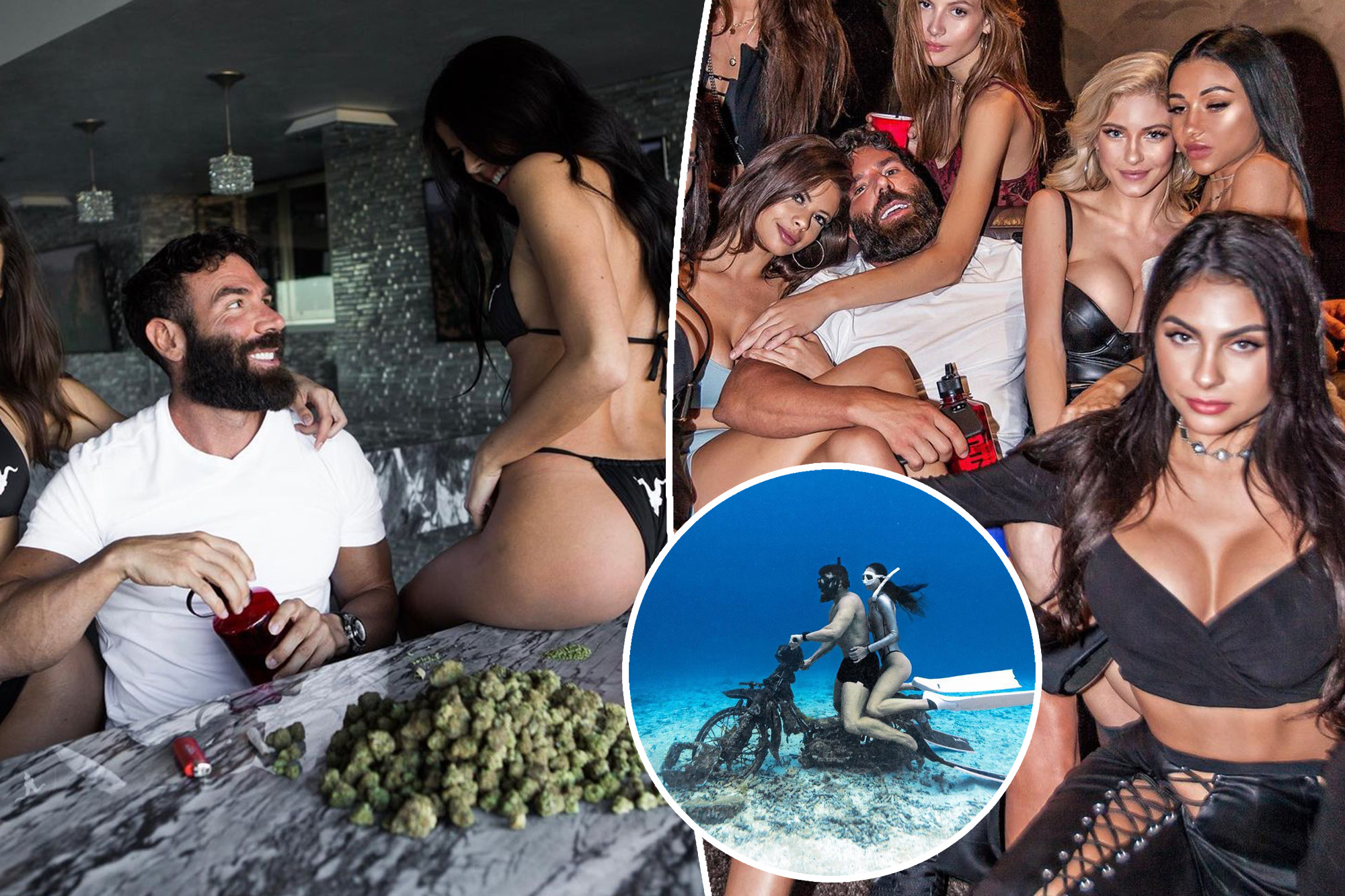 david a cain recommends dan bilzerian porn movie pic